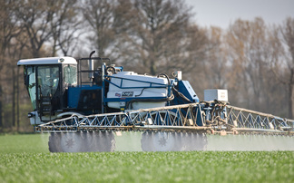 Growers urged to remain vigilant despite low wheat disease pressures