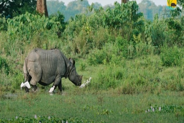 With sustainability in focus, Assam launches new tourism policy