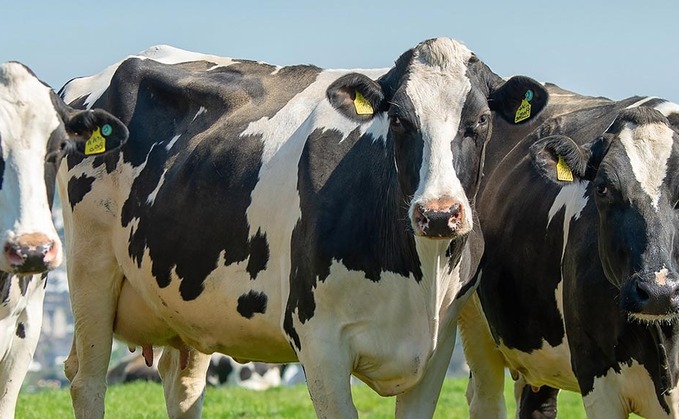 UK farmgate milk prices lag global increases