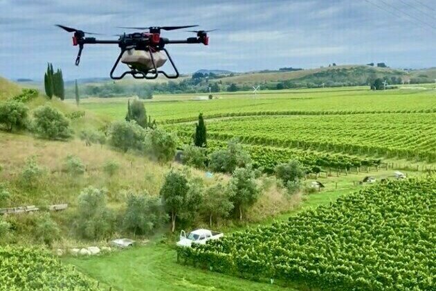 XAG Drones in Vineyards Make Wine Growing Safer and Easier