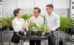  Jingye Cheng (PhD student of the University of Tasmania and Murdoch University), Professor Chengdao Li (Western Crop Genetics Alliance director) and Dr Yong Han (DPIRD molecular geneticist) inspect gene-edited barley at the GRDC Grain Precinct at Murdoch University.