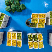 CHINA-YUNNAN-RUILI-LEMON PLANTING INDUSTRY (CN)