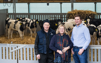 Scottish dairy farm cuts labour costs by 75% with innovative new calf shed design