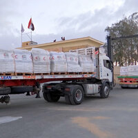 Over 10,000 tonnes of UAE aid entered Gaza Strip