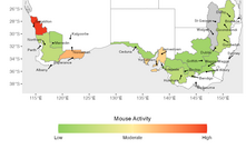 Estimated relative mouse activity in Winter 2026 (June - August) across each GRDC agro-ecological zone (broad regions defined by similar climate, soils, and farming systems).