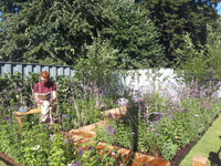 Rolawn helps Young Offenders' garden 'A Place to Think' scoop silver at RHS Hampton Court