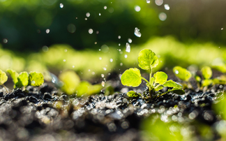 Top tips to maximise water availability for crop production