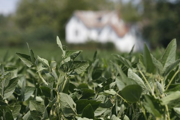 Trump: China Fails to Buy Agricultural Goods as Promised