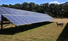 Littleproud says transmission lines, industrial solar panels and wind turbines are ripping up the native environment.