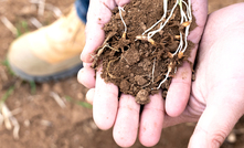 Farmsafe Australia has launched its "In Safe Hands" campaign for National Farm Safety week. Credit: Farmsafe Australia.