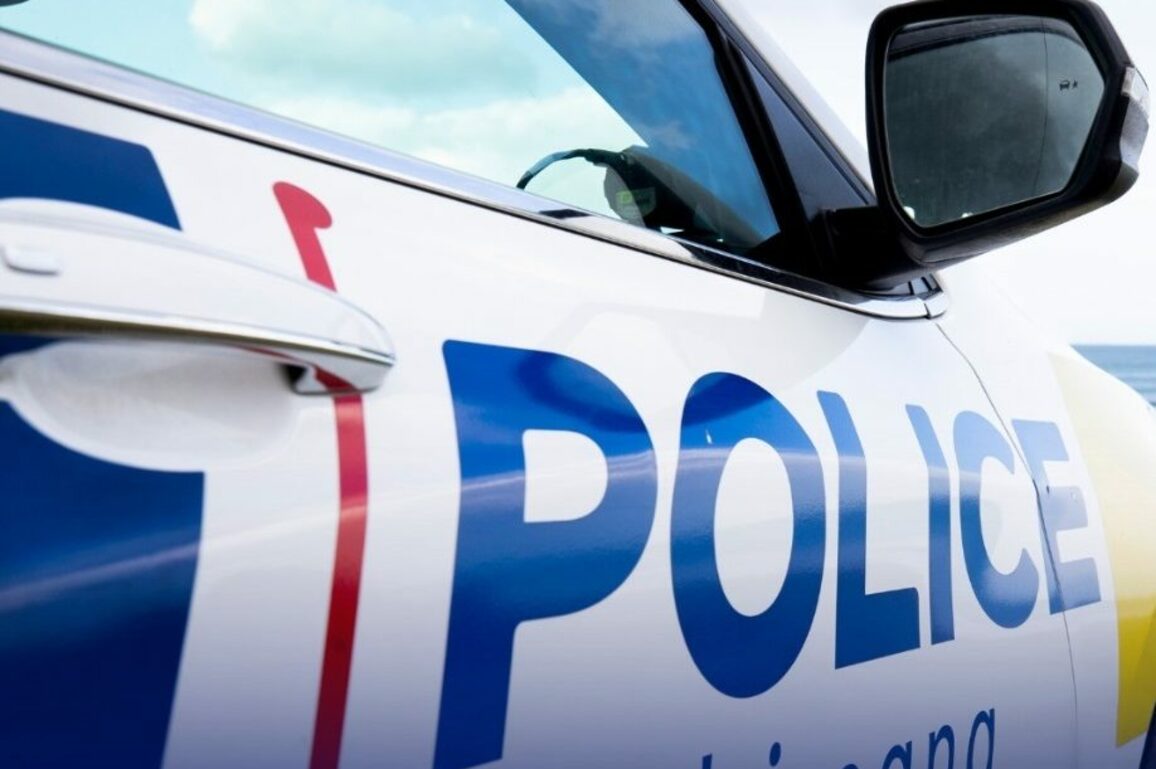 Driver rams police car during incident in Auckland s