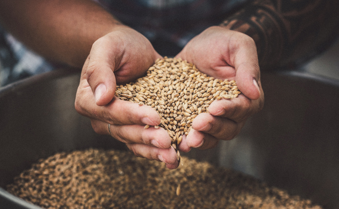 The Carbon Removers has developed a method of removing CO2 that has been naturally captured and stored in organic materials such as grain and barley - Credit: iStock