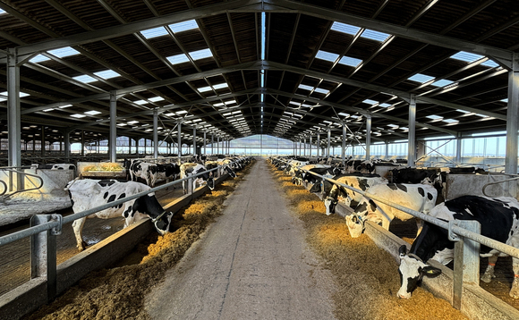 Heat stress in dairy cows: Lessons from a Cumbrian dairy farm