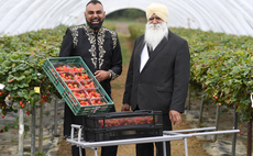 A story of strawberries, faith and farming