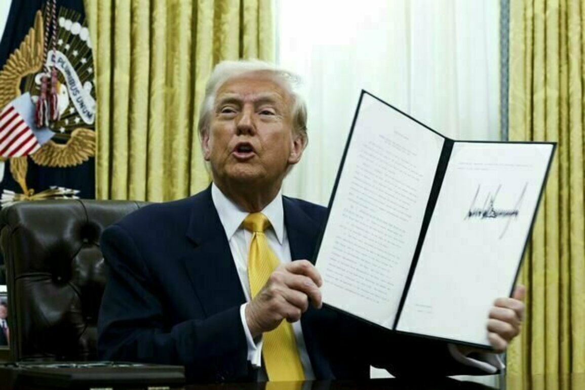 Trump's English language order upends America's long multilingual history