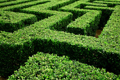 AI ethics and regulation: How investors can navigate the maze