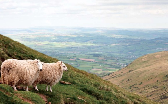 Welsh farmers key to Welsh language
