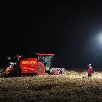 Race against rain saves wheat harvest in central China