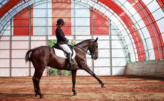Waterland acquires Helgstrand Dressage