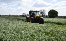 Trial data highlights added value of reseeds and quality mixtures
