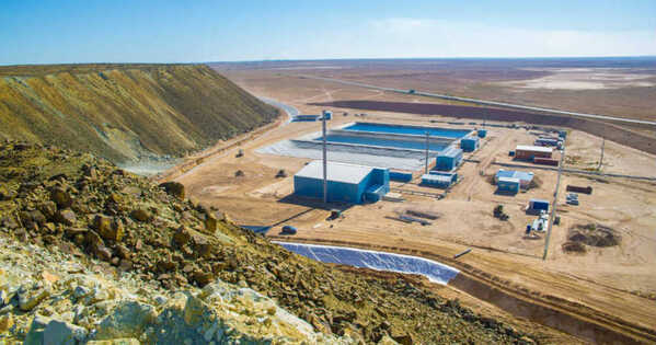 CAML revenues surge ahead of Cygnus deal