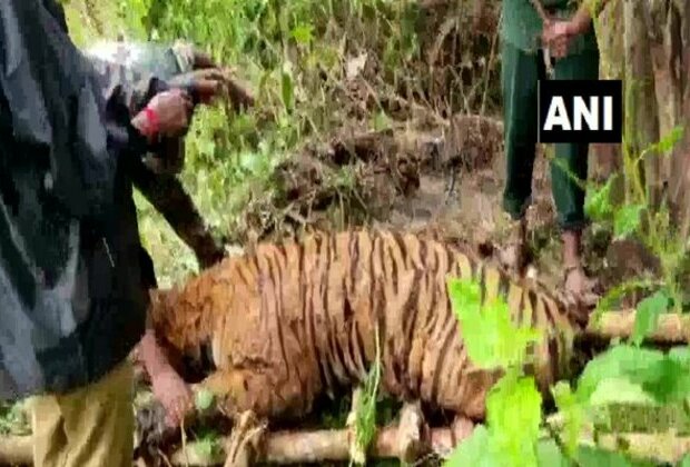 Tiger's body found in Kerala's Pulpally forest