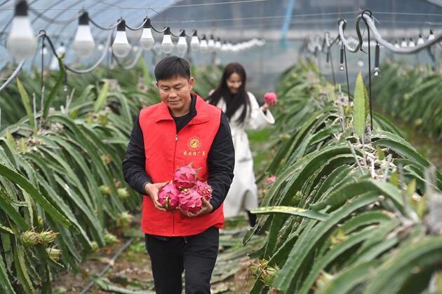 Update: China issues pilot work guideline for rural land contracts extension