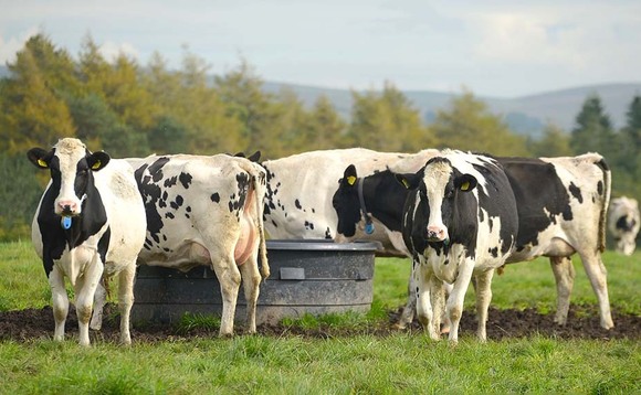 Medina Dairy announce 2ppl milk price rise for April