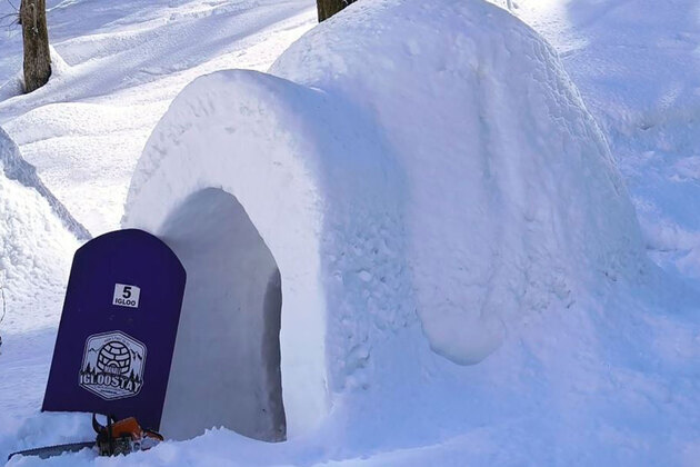 Himachal: Sethan Igloo Village becomes new tourist attraction, offering unique stay experience