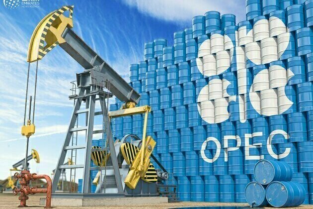 OPEC daily basket price stands at $89.35 a barrel Wednesday
