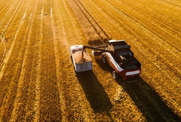 Russia ships first wheat to Togo