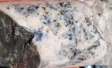 The zone that returned 0.2m at 4,700 gpt gold