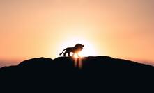 Power Metallic roaring with Lion discovery