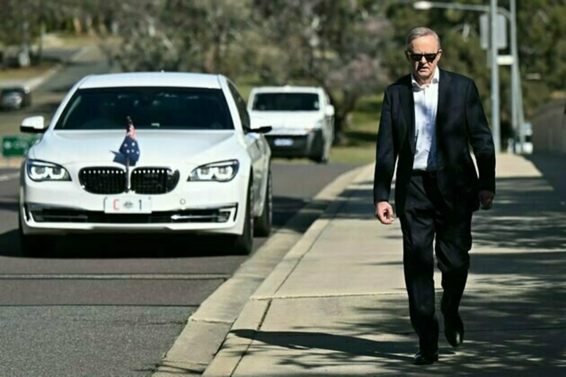 View from The Hill: a budding Trump-Albanese bromance?