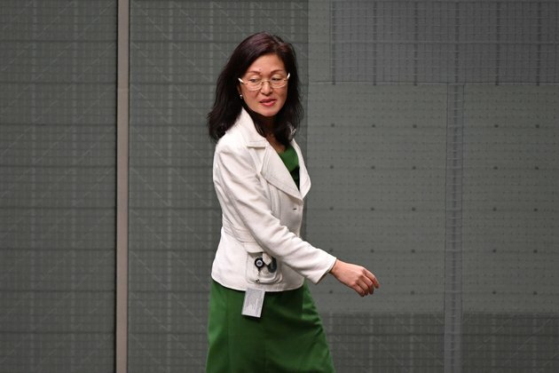 Liu defends herself after concerns about her Chinese associations