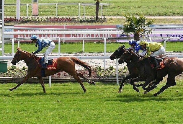 Sheikh Mansour bin Zayed Al Nahyan Racing Festival cup begins tomorrow at Toulouse racecrouse