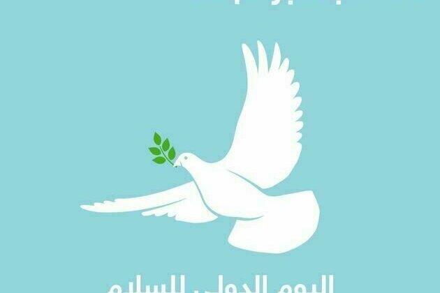 Muslim Council of Elders calls for unified international efforts to end wars, protect civilians