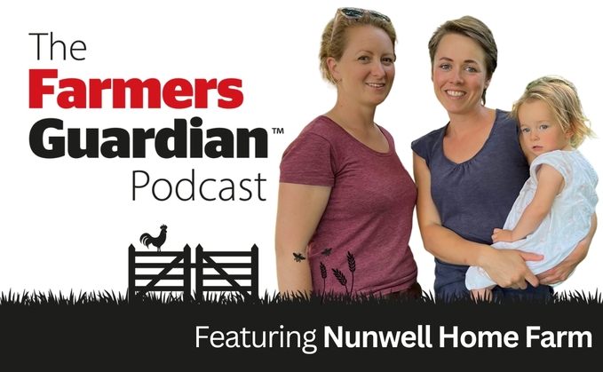 Farmers Guardian podcast: Two friends start farming business from scratch on the Isle of Wight