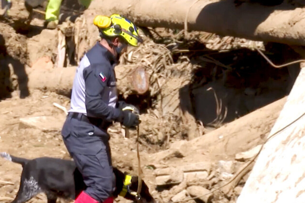 Sri Lankan Army commends efficiency of UAE SAR team during floods, landslides
