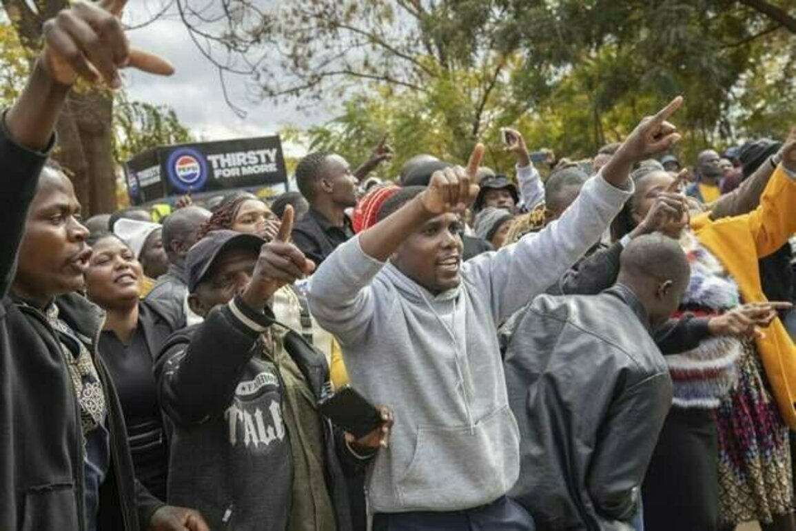 Zimbabwe Court Strikes Down Provisions of Repressive Law