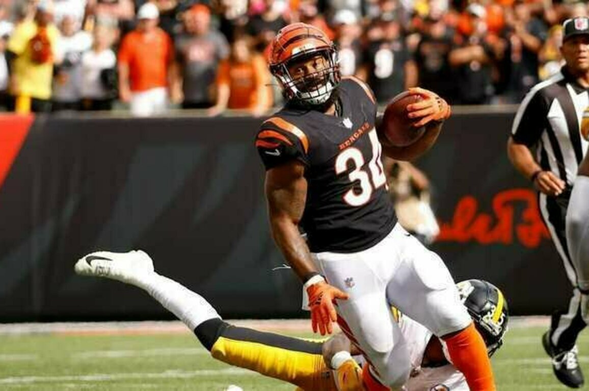Bengals Bring Back Playoff Hero Samaje Perine