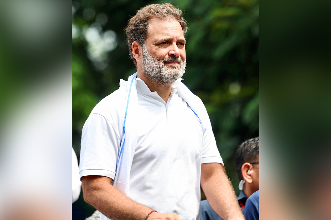 Karur stampede: Rahul Gandhi speaks with TN CM Stalin, TVK chief Vijay over phone