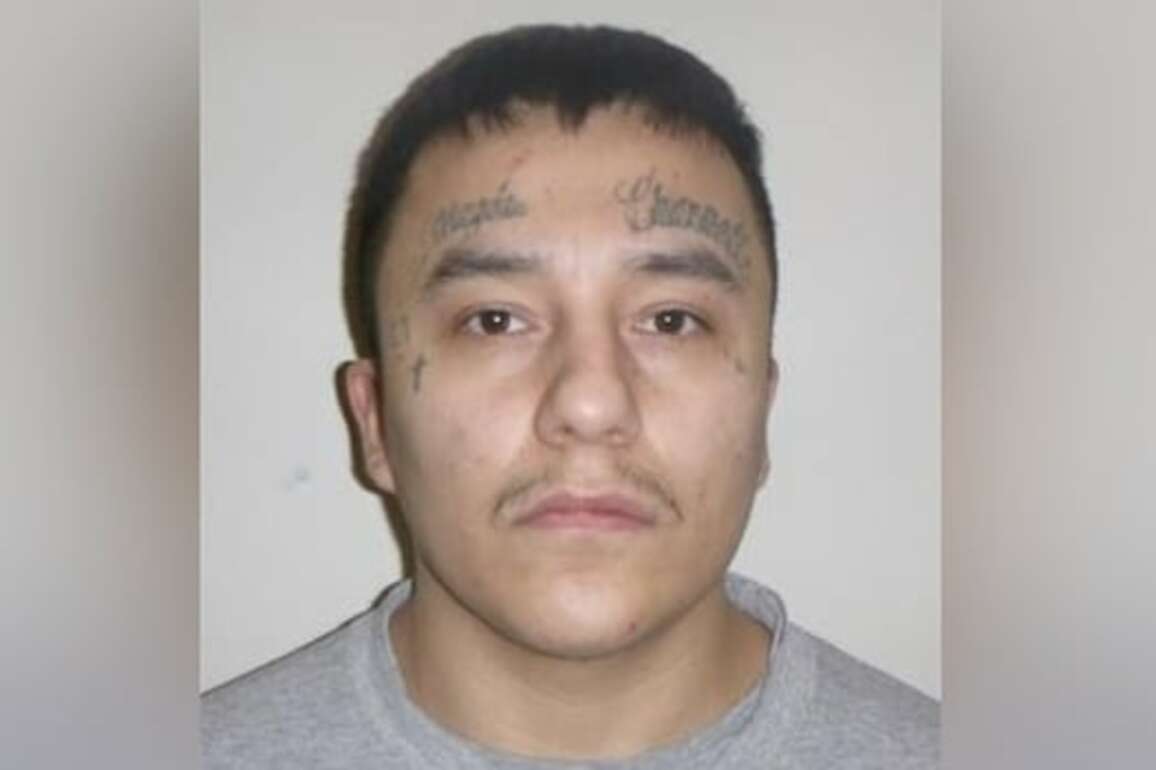 Violent sex offender expected to live in Winnipeg a high risk to reoffend