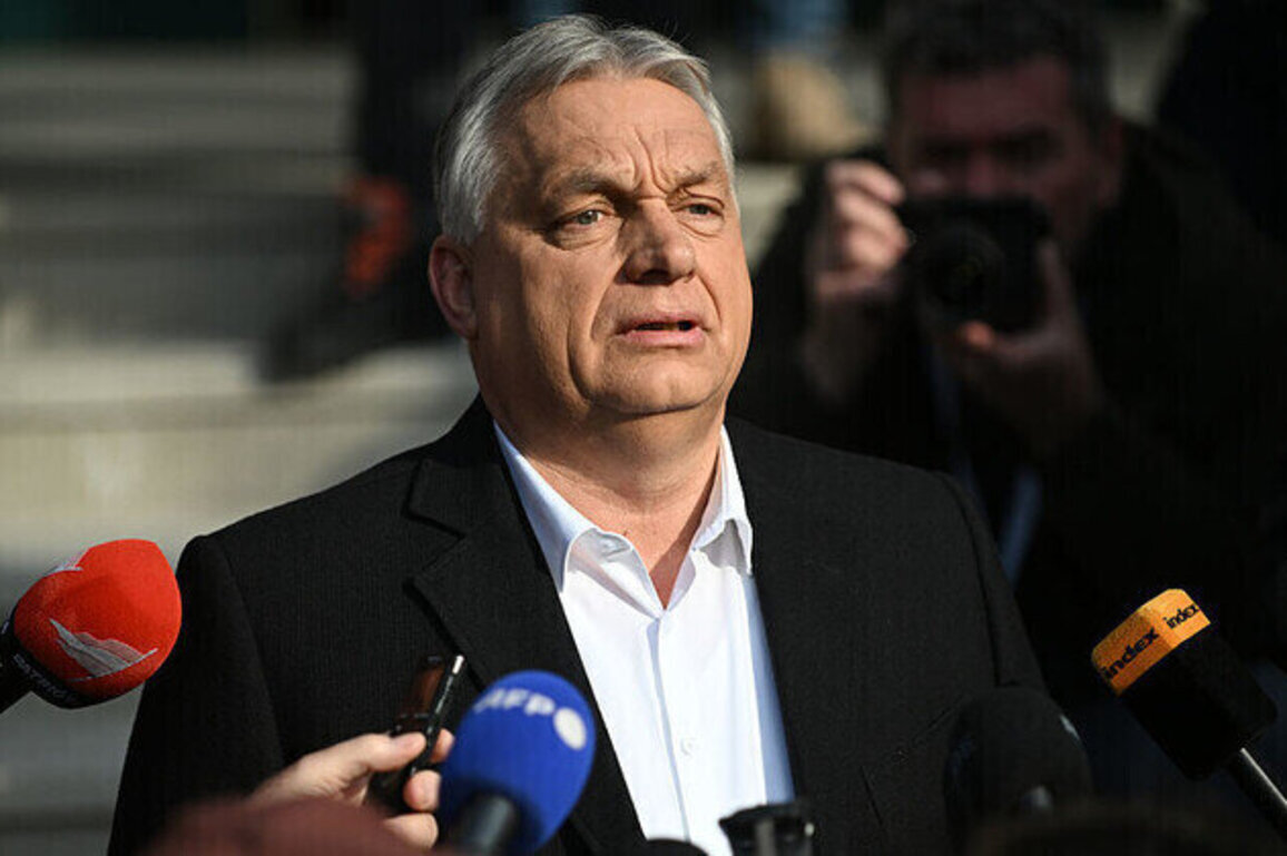Magyar beats Orban in battle for Hungary: What happens now