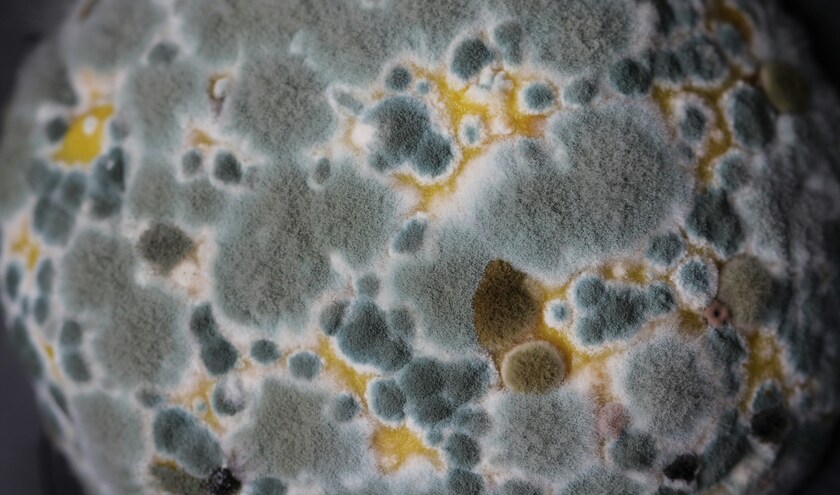 (c) Sandy Millar/Unsplash 