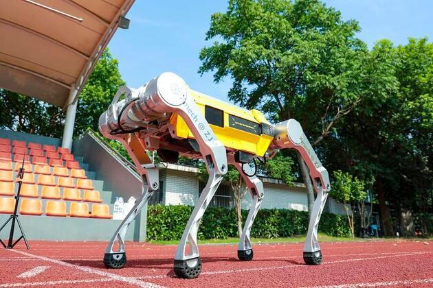 Chinese universities rise rapidly in global research output, says Dutch researcher