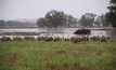 Flood assistance available to primary producers