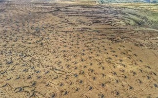 How a new peatland project is aiming to unlock a more resilient future