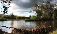 The Namoi river.