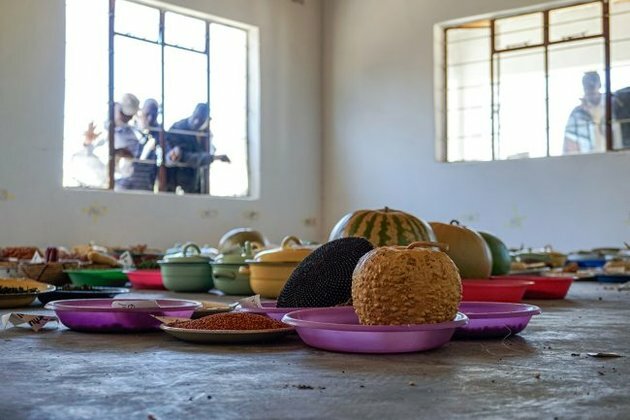 Saying No to GMOs, Zimbabwean Farmers Bank Indigenous Seeds